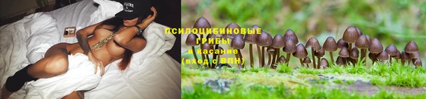 mdpv Абаза