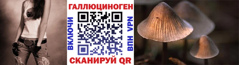 что такое наркотик  Курск  Псилоцибиновые грибы Psilocybe 